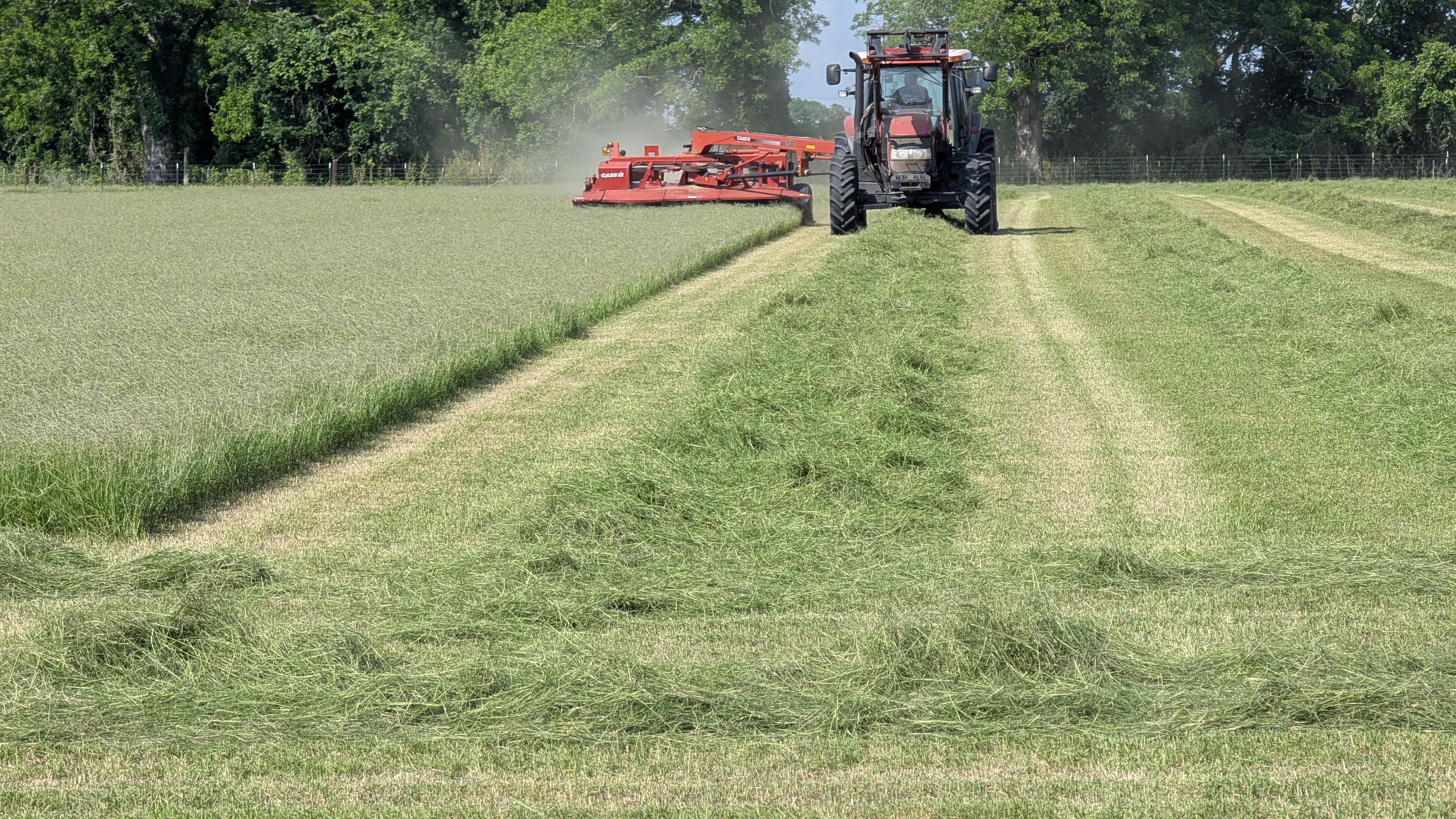 Tractor cutting hay in the bayou field